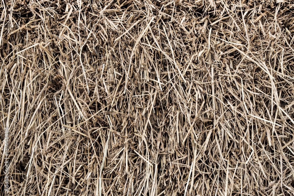 Texture of piled dried straw for animal feed Texture of piled dried straw for animal feed