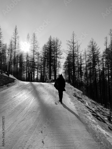 Escursionista nei boschi innevati sotto un tiepido sole invernale Bardonecchia Italia photo