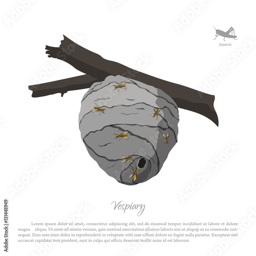 Vespiary drawing. Wasp hive on a branch. Residence flying insect