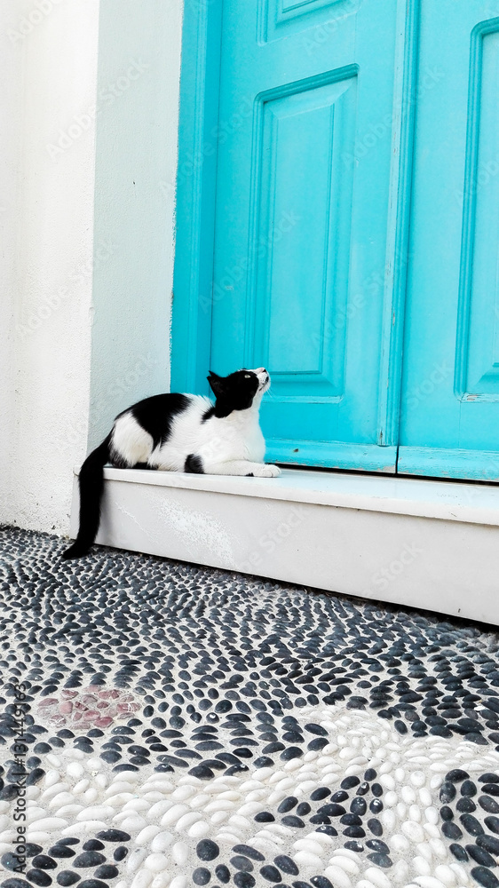 Il gattino e la porta blu Kos Grecia
