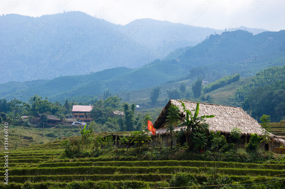 rizières en terrasse - Sa Pa - Maison paysan - Vietnam