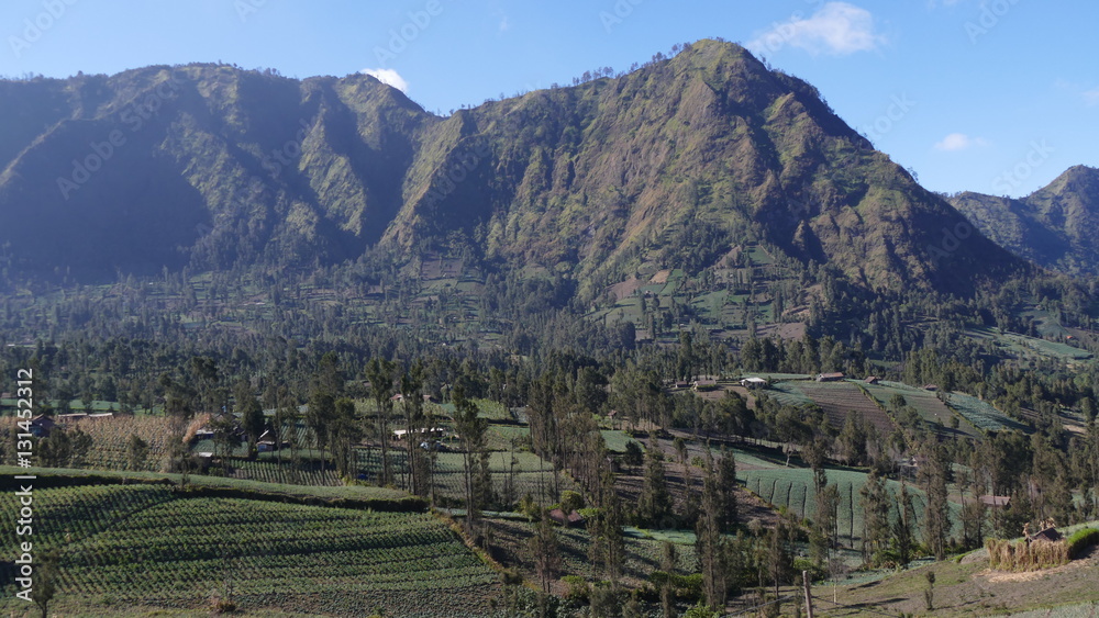 Obraz premium Góra Bromo w Indonezji