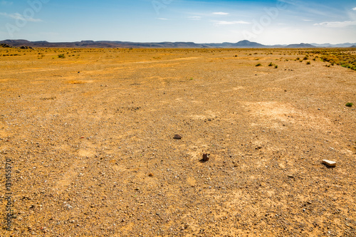 Reg desert Sahara in Morocco photo