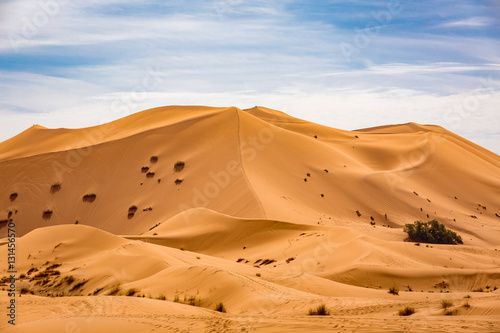 Sand dunes of the Sahara desert  Morocco