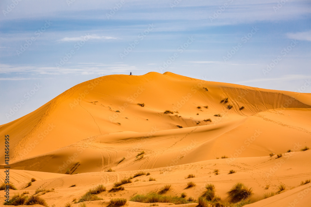 Sand dunes of the Sahara desert, Morocco