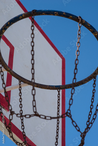 basketball backboard in the palms