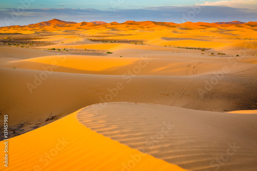 Sand dunes of the Sahara desert  Morocco