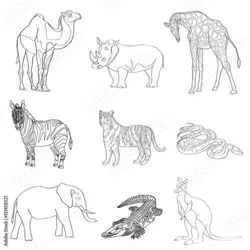 Vector illustration. Image rhino kangaroo, giraffe, elephant, zebra, snake, crocodile, camel, tiger a black line.