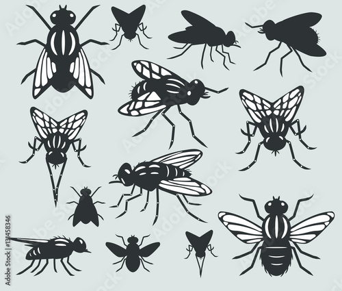 A set of silhouettes of flies