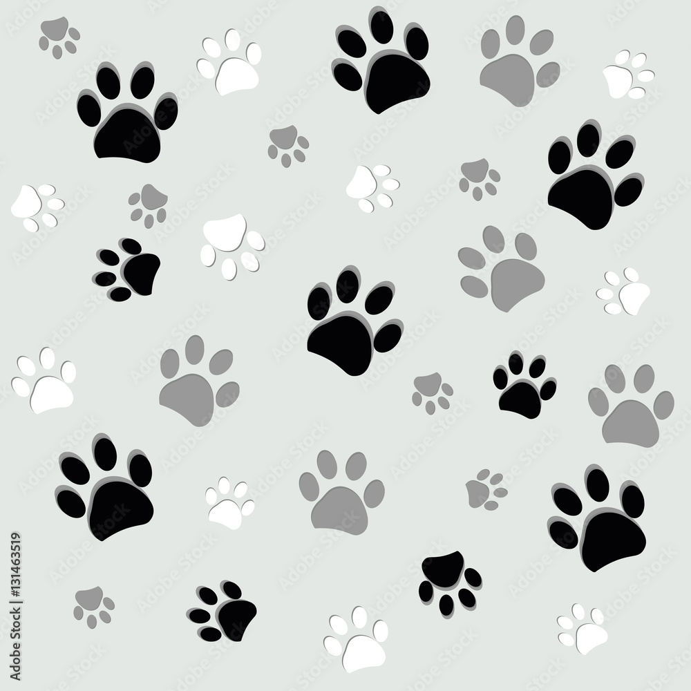Animal paw prints