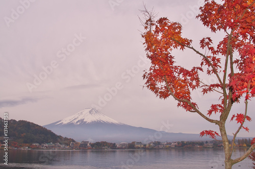 Mount Fuji in autumn season, Yamanashi, Japan 