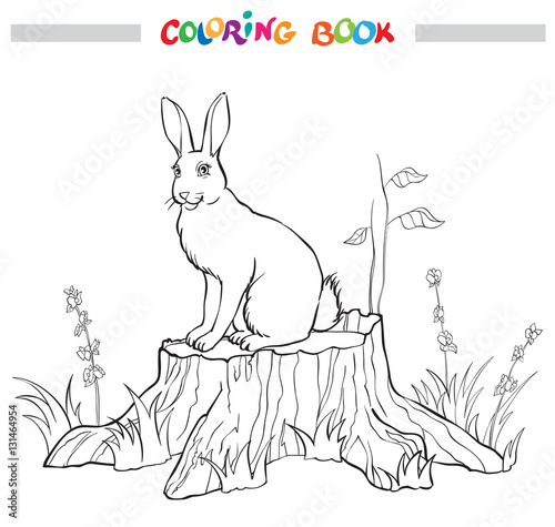 Coloring book with rabbit on the stump, flower and grass - vector illustration.
