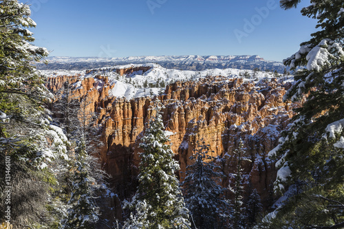 Hoodoo and Pines with Fresh...