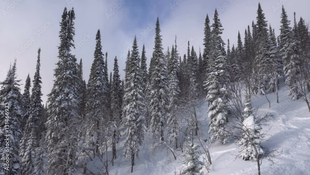 Snow-covered frozen forest with trees at the peak of snow hills. Panoramic bird's-eye view from funicular cab to winter mountains and slopes in cloudy day Snow-covered frozen forest with trees at the peak of snow hills. Panoramic bird's-eye view from funicular cab to winter mountains and slopes in cloudy day