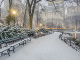 Central Park, New York City snow storm