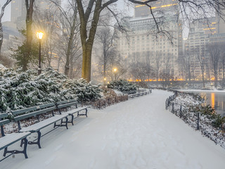 Canvas schilderij Central Park Sneeuwstorm in Central Park  © John Anderson