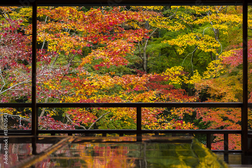 Photos Autumn Japanese garden of Rurikoin temple, Kyoto, Japan