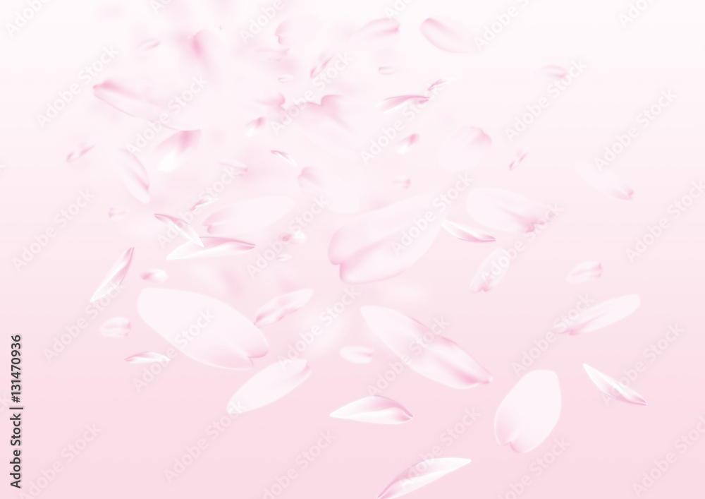 桜吹雪 桜吹雪