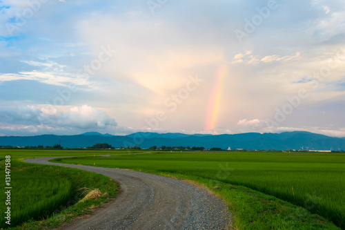一筋の虹が架かる田園風景 © 智志 丸山