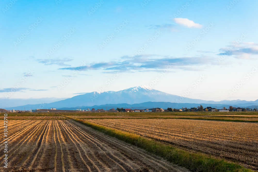 １１月初旬の庄内平野と鳥海山