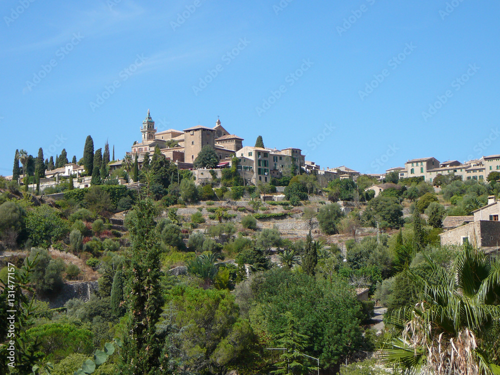 View of the city of Valldemossa