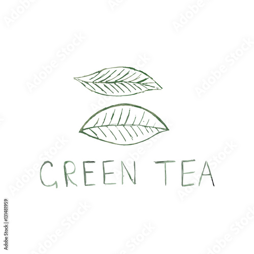 Green Tea vintage vector