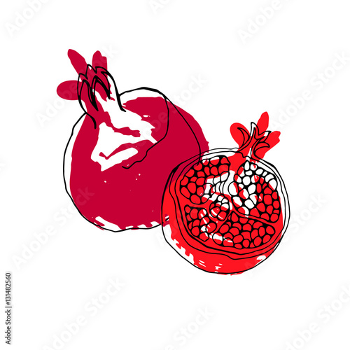 Vector hand drawn watercolor painting fruit garnet 