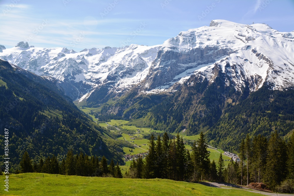 Fototapeta premium Swiss Alps