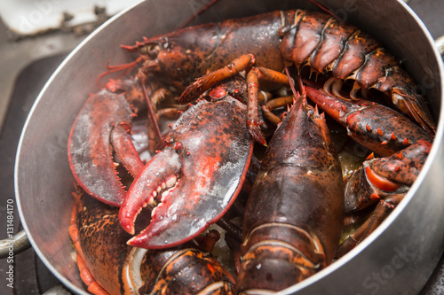 Astici cucinati rossi in pentola con pomodori