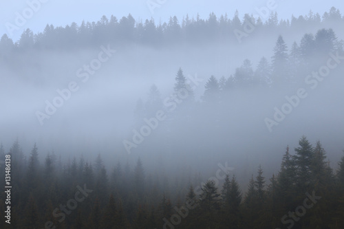 Mountains in the fog © larisashustrova