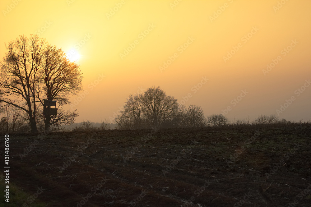 Wooden Hunting high tower near the meadow. Hunters lookout tower against sunset at autumn time. 