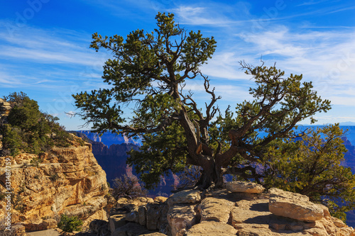 Handsome view of breathtaking landscape in Grand Canyon National