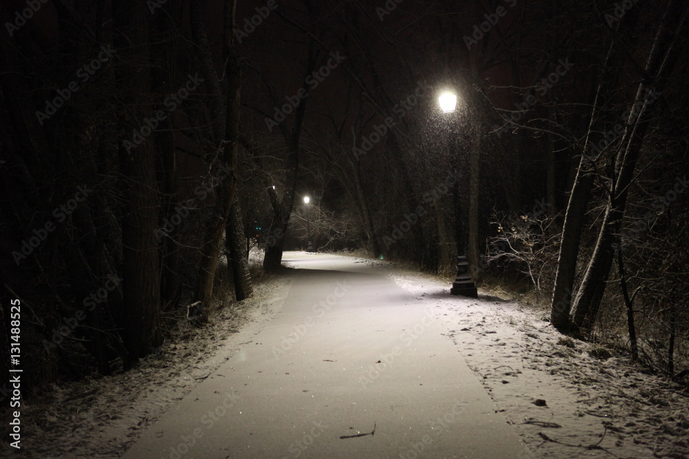 Snowy Path Snowy Path