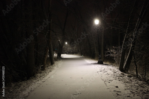 Canvastavla Snowy Path