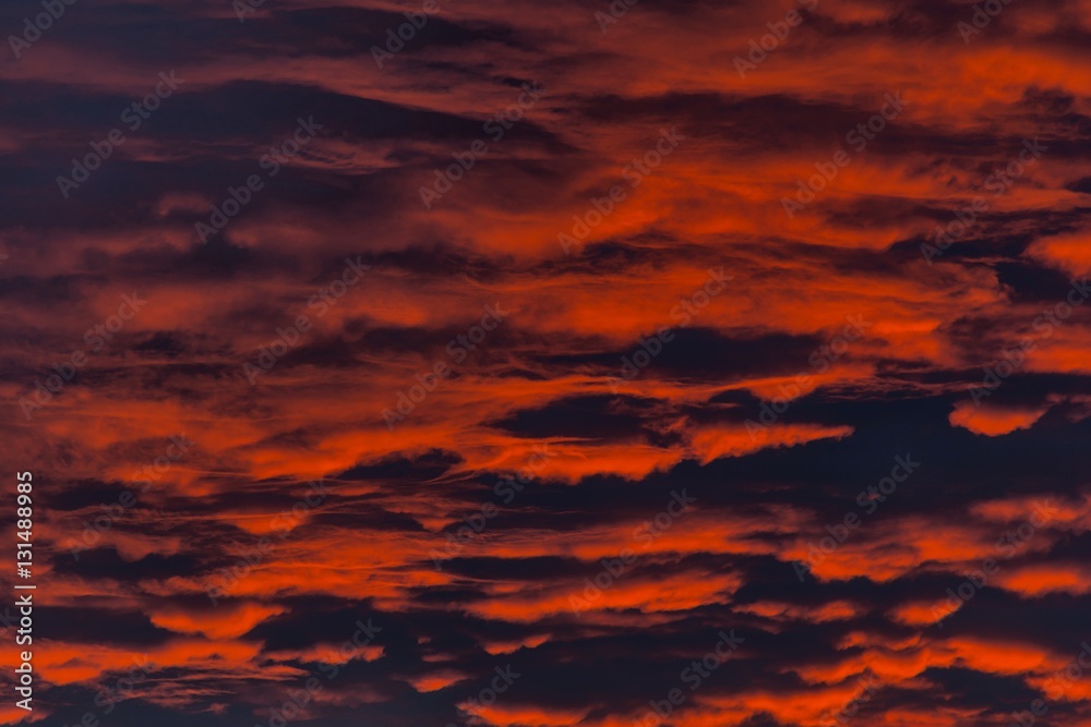 Fire in the sky. Background of the blood red evening sky and clouds. Sunset and cloudy sky with clouds  in different forms.