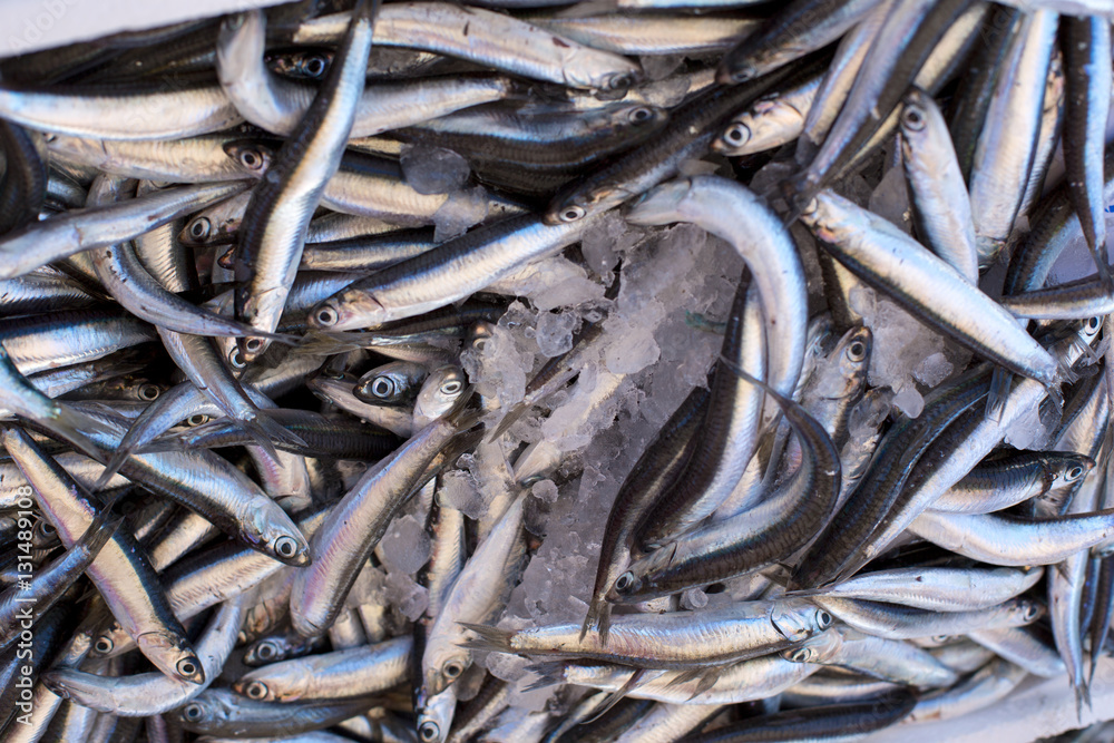 Fresh sea fish hooked. smelt Fresh sea fish hooked. smelt