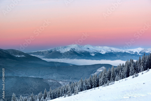 Beautiful winter sunrise in the mountain forest