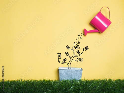 Cuadro en lienzo Top view Investment is like planting trees