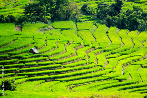 hut is on beautiful rice terraces. Nature landscape at Ban Pa Pong Pieng, Chiang Mai, Thailand