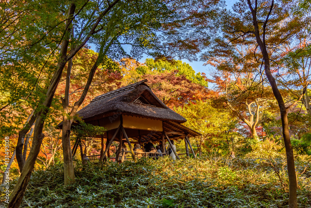 六義園の紅葉 六義園の紅葉
