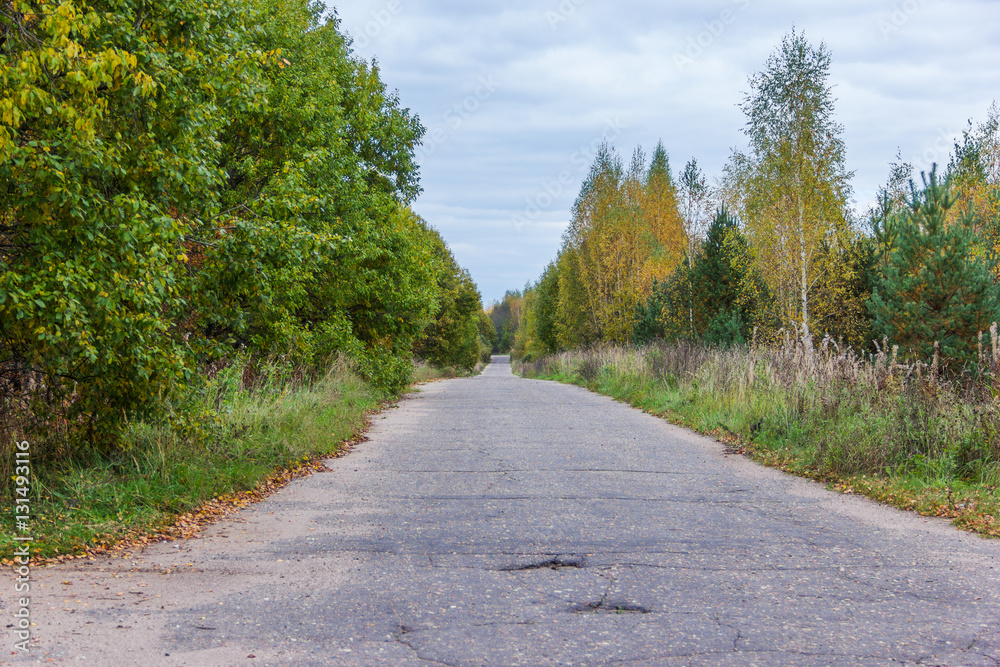 Φωτογραφία The provincial road between the villages of Tver region.