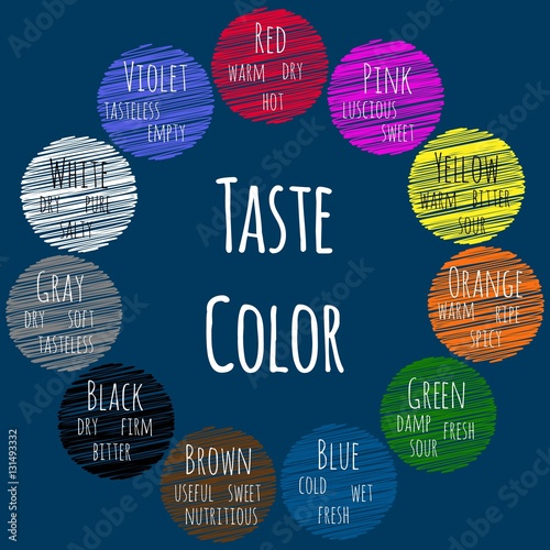 Taste Color. Basic Color Theory. Vector infographics