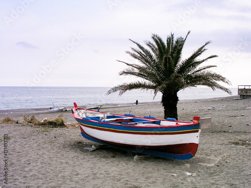 Fischerboot am Strand unter einer Palme