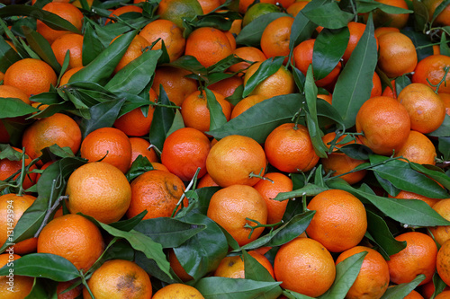 Fresh ripe mandarin oranges with green leaves