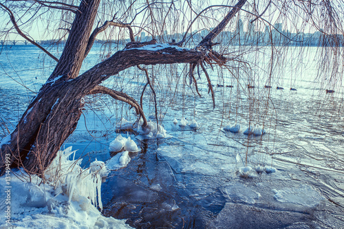 Fototapeta Naklejka Na Ścianę i Meble -  winter background with icicles and empty space