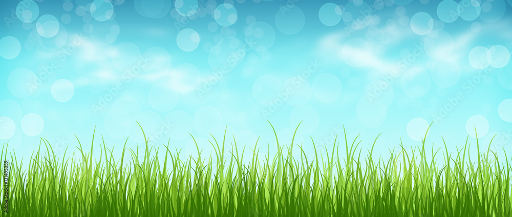 Grass and blue sky with clouds, bokeh. Spring background. Panora