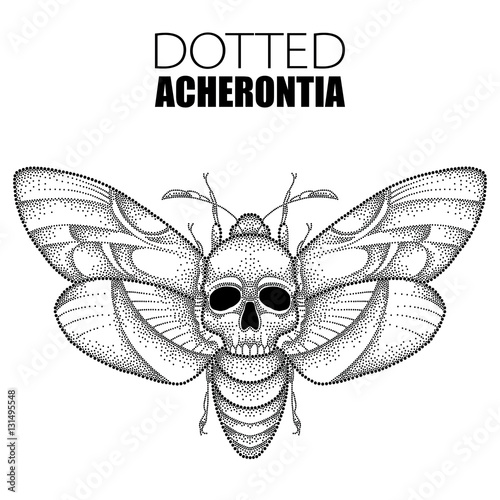 Vector drawing of dotted black Death's head hawk moth or Acherontia atropos isolated on white background. Illustration of butterfly with skull in dotwork style for tattoo design.