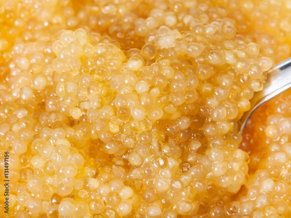 surface of salty caviar of pike fish with spoon surface of salty caviar of pike fish with spoon