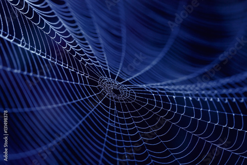Obraz na plátně Spider Web as concept  of the Internet