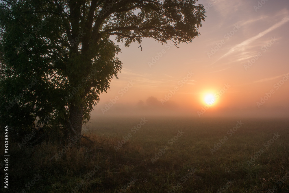 Hazy morning landscape at dawn